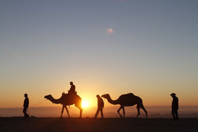 Agadir: Camel Ride With Tea & BBQ Dinner Option - The Sum Up