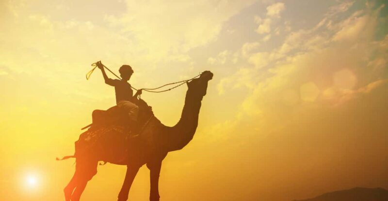 Agadir: Camel Ride With Tea - The Itinerary in Detail: What You Can Expect