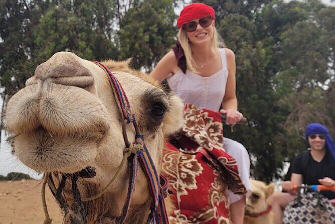 Agadir Camel Rides with Tea Drink & cakes - Key Points