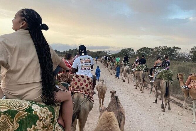 Agadir Camel Riding and flamingo river tour - What’s Included and Not Included?