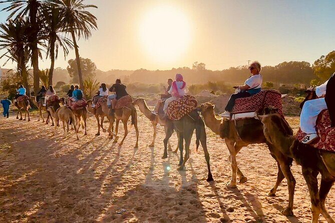 Agadir Camel Riding and flamingo river tour - Who Should Consider This Tour?