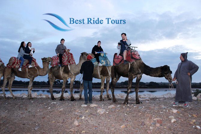 Agadir Camel Riding - What You Can Expect from This Tour