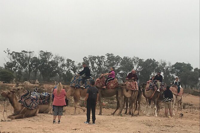 Agadir Camel Riding - Practical Tips for Booking and Enjoying Your Ride