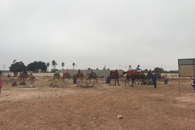 Agadir Camel Riding - Final Thoughts