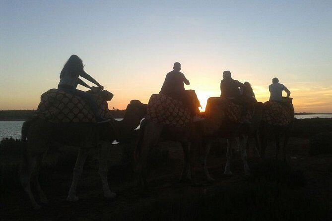 Agadir Camel Riding +Sunset and Dinner( barbecue) - An In-Depth Look at the Experience