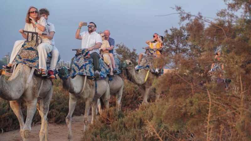 Agadir: Camel Riding Tour with Tea Drink - What to Expect from the Camel Riding Tour in Agadir