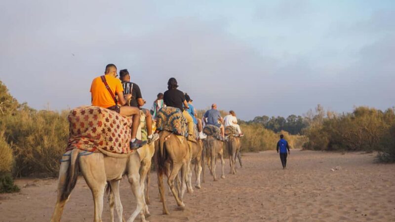 Agadir: Camel Riding Tour with Tea Drink - Final Thoughts: Who Will Love This Tour?