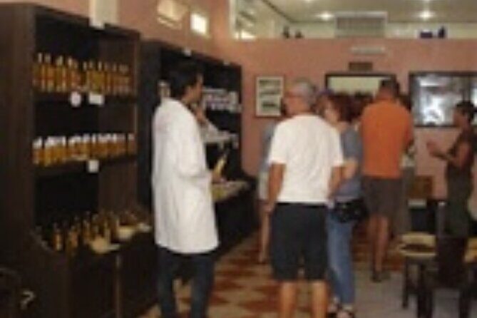 Agadir City Tour - Why This Tour Works Well