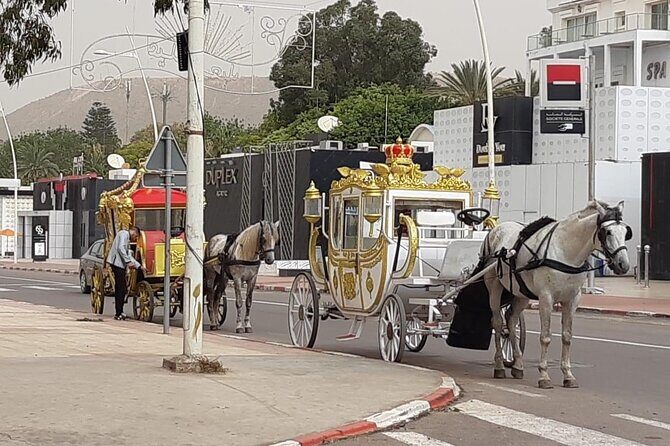 Agadir City Tour - Half Day - Who Should Book This Tour?