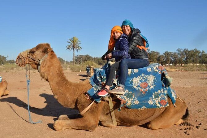 Agadir city tour & Medina, cable car, Crocoparc with hotel pickup - FAQs