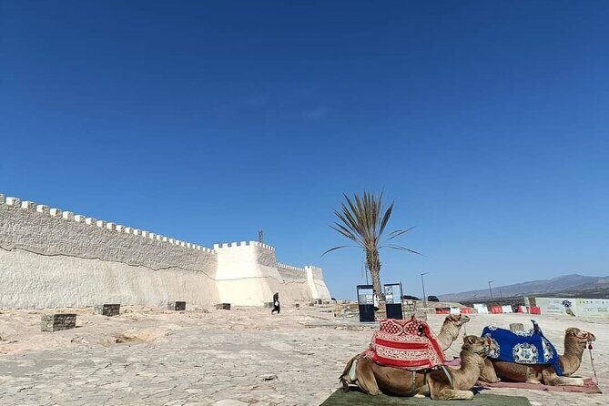Agadir City Tour whit medina polizzi and Cable car Ride - Key Points