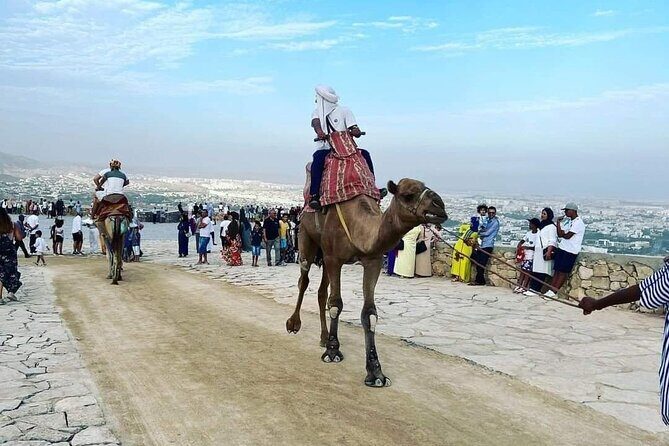 Agadir city Tour with big Souk Elhad - Who Is This Tour For?