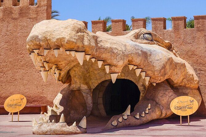 Agadir Crocodile Park Adventure - Practical Details and Tips