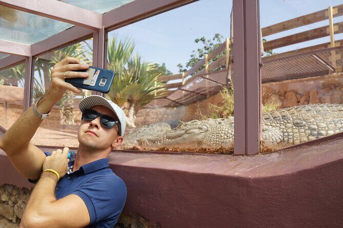 Agadir Crocodile Park Adventure - The Sum Up