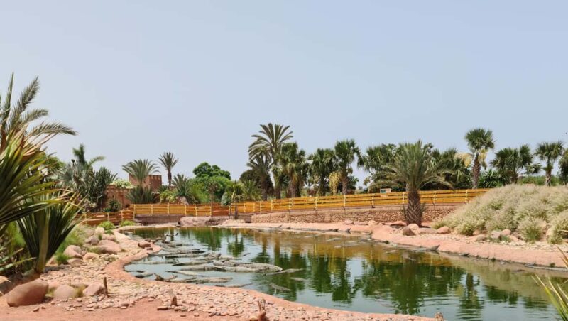 Agadir: Crocoparc Entry Ticket with Transfers, Guide, & Tea - Key Points