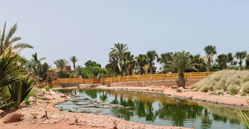 Agadir: Crocoparc Entry Ticket with Transfers, Guide, & Tea - Who Will Love This Tour?