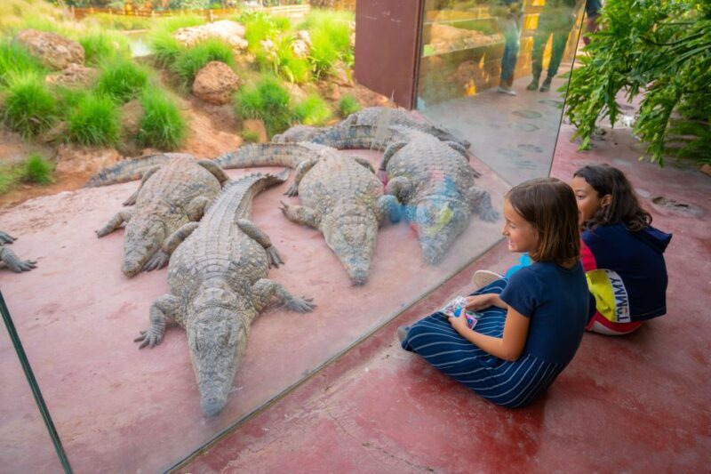 Agadir: Crocoparc Skip-the-Line Entry Ticket - Duration and Group Size