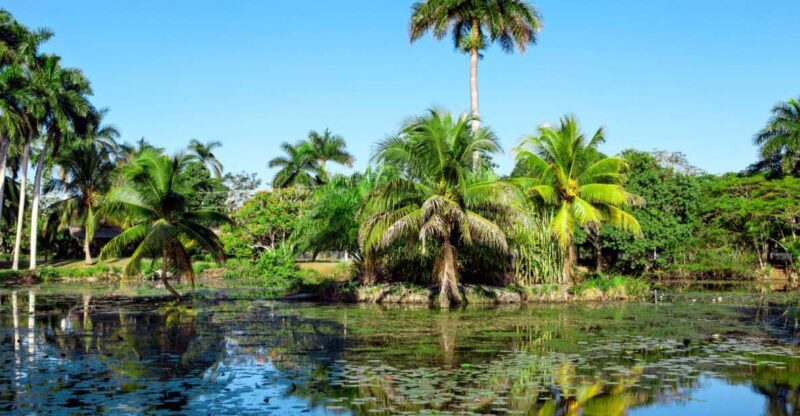 Agadir Crocoparc: Ticket and Transfer - Key Points