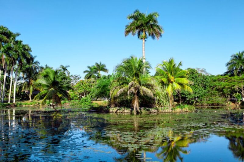Agadir Crocoparc: Ticket and Transfer - Why This Tour Works Well for Travelers