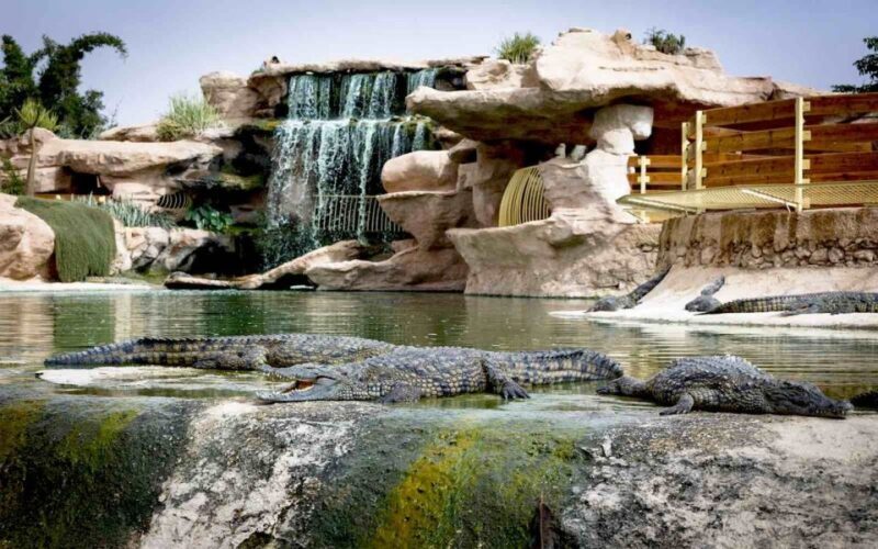 Agadir Crocoparc: Ticket and Transfer - Frequently Asked Questions (FAQs)