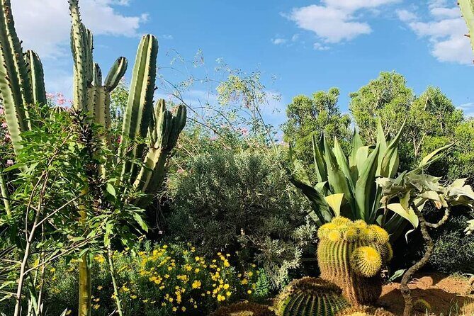 Agadir Crocoparc tickets & Shuttle service - Who Should Consider This Tour?