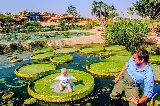 Agadir Crocoparc Transfer & Admission tickets - Authentic Traveler Insights