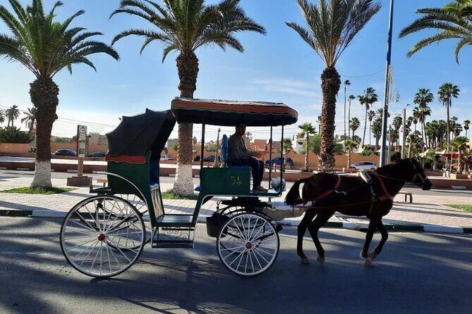 Agadir Day Trip to Taroudant and Tiout Oasis with Lunch - Potential Drawbacks and Considerations