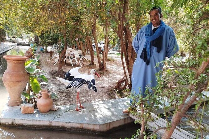 Agadir Day Trip to Taroudant and Tiout Oasis with Lunch - Final Thoughts