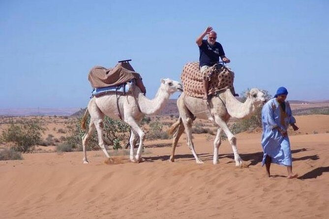 Agadir Desert Safari Day Trip with Lunch and Agadir City Tour - Key Points