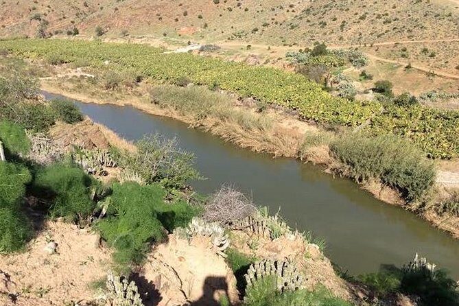 Agadir Desert Safari Day Trip with Lunch and Agadir City Tour - What to Expect from the Tour