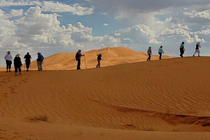 Agadir Desert Safari Day Trip with Lunch and Agadir City Tour - FAQ