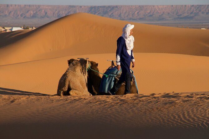 Agadir Desert Trip With Lunch - Final Thoughts: Who Will Love This Tour?