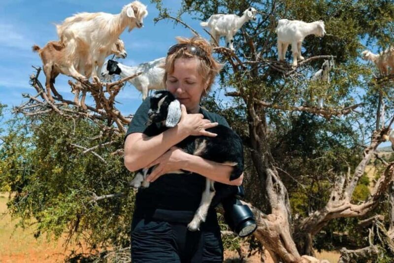 Agadir: Discover Argan Tree-Climbing Goats on a Morning Tour - The Itinerary: What You Can Expect