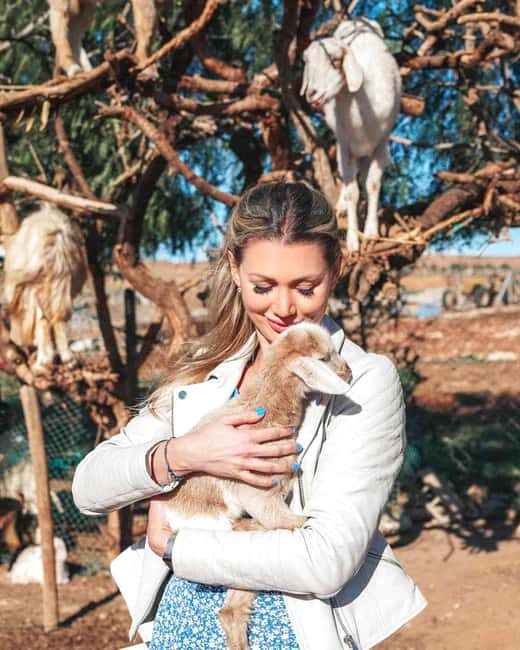 Agadir: Discover Argan Tree-Climbing Goats on a Morning Tour - The Experience: What We Love and What to Consider