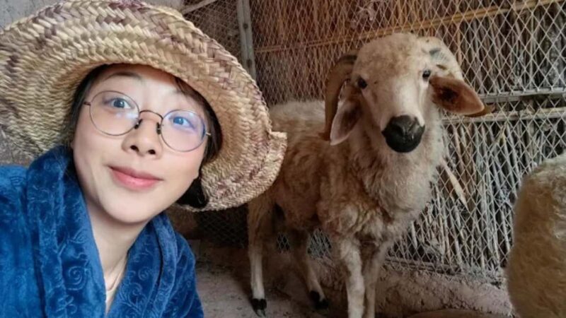 Agadir: Ecofarm Tour with Cooking Class and Lunch - Additional Practical Information