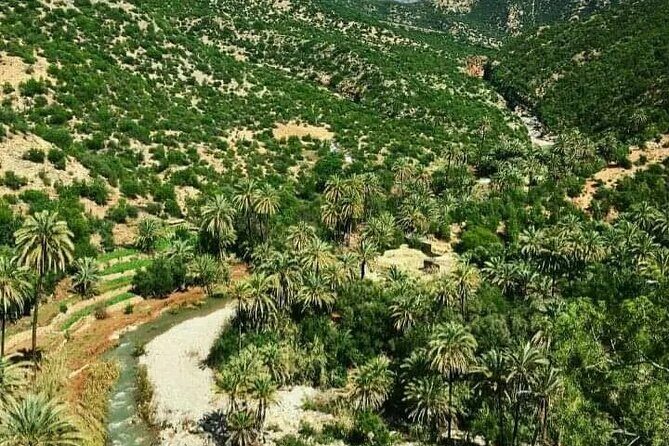 Agadir Excursion to Paradis Valley & Atlas Mantains with lunch - Who will love this tour?