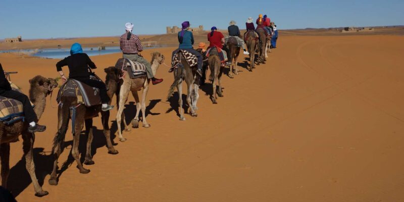 Agadir: Flamingo River Camel Ride - Key Points