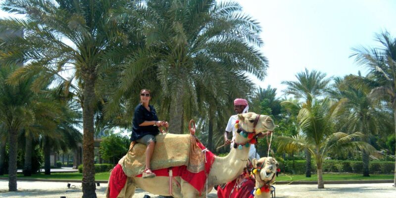 Agadir: Flamingo River Camel Ride - The Itinerary in Detail: What to Expect