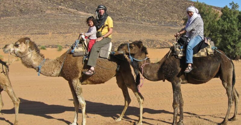 Agadir: Flamingo River Camel Ride - Authentic Experiences and Practical Tips