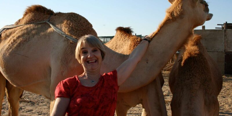 Agadir: Flamingo River Camel Ride - Who Will Enjoy This Tour?