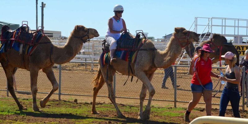 Agadir: Flamingo River Camel Ride - Final Thoughts: Is It Worth It?