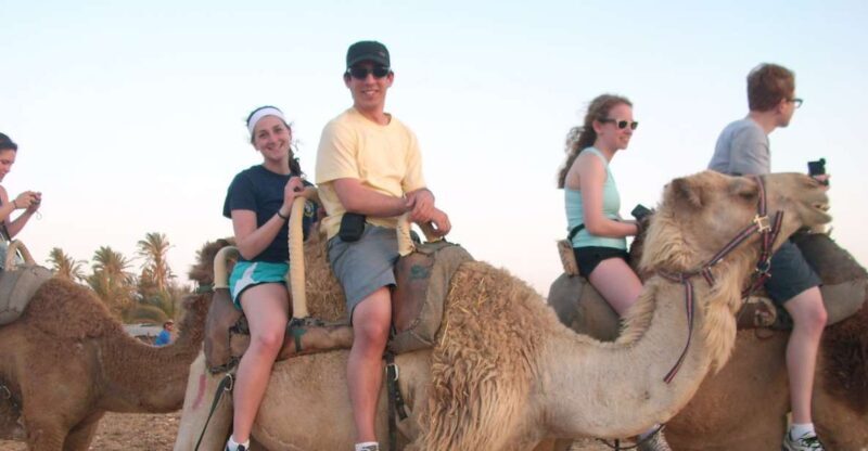 Agadir: Flamingo River Camel Ride w/Optional BBQ - Key Points: