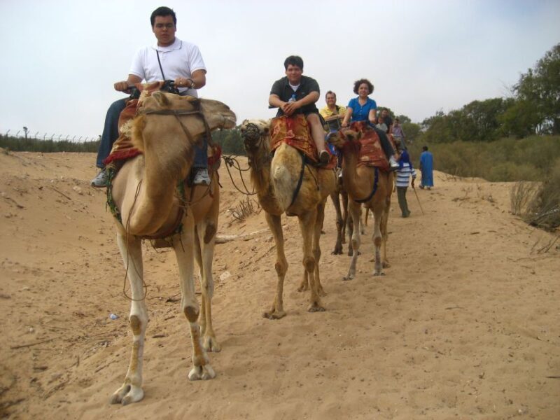 Agadir: Flamingo River Camel Ride w/Optional BBQ - What to Expect from the Tour