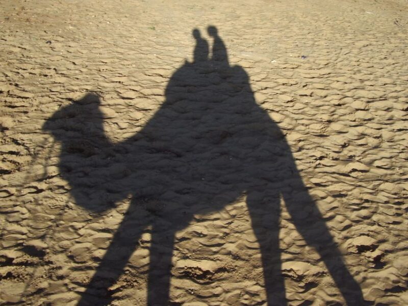Agadir: Flamingo River Camel Ride w/Optional BBQ - Practical Details