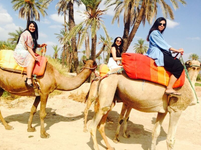 Agadir: Flamingo River Camel Ride w/Optional BBQ - FAQ