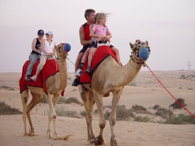 Agadir: Flamingo River Camel Ride w/Optional BBQ - Final Thoughts