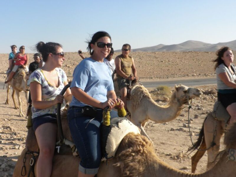 Agadir: Flamingo River Camel Ride with Optional BBQ Dinner - The Realities of the Experience: What the Reviews Say