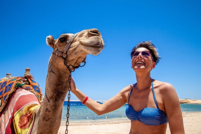 Agadir: Flamingo River Camel Ride with Optional BBQ Dinner - FAQs