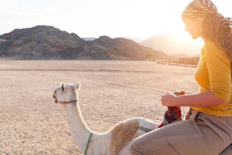 Agadir: Flamingo River Camel Ride with Optional BBQ Dinner - Final Thoughts