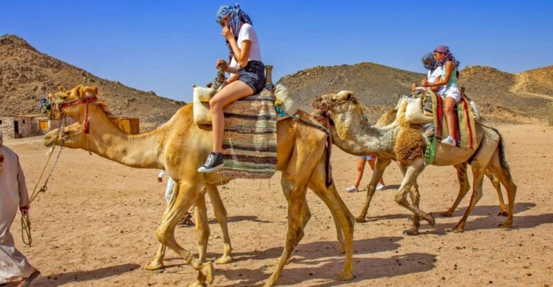 Agadir: Flamingo River Sunset Camel Ride with BBQ Diner - An In-Depth Look at the Experience